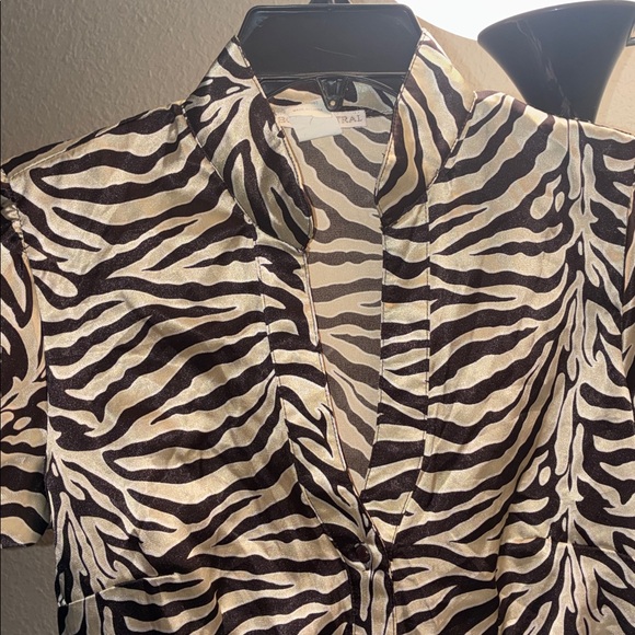 5/$25 LAST CHANCE Body Central Y2K silky zebra print blouse - Small - Picture 6 of 6